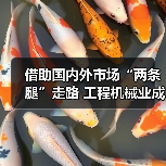 借助国内外市场“两条腿”走路 工程机械业成就太亮眼(图2) 借助国内外市场“两条腿”走路 工程机械业成就太亮眼(图2)