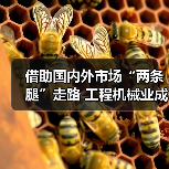 借助国内外市场“两条腿”走路 工程机械业成就太亮眼(图4) 借助国内外市场“两条腿”走路 工程机械业成就太亮眼(图4)