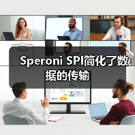 Speroni SPI简化了数据的传输(图2) Speroni SPI简化了数据的传输(图2)
