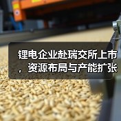 锂电企业赴瑞交所上市,资源布局与产能扩张成焦点(图4) 锂电企业赴瑞交所上市,资源布局与产能扩张成焦点(图4)