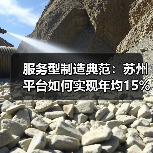 服务型制造典范：苏州平台如何实现年均15%增长？