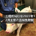 工程机械行业2022年12月主要产品销售数据分析:增长与下滑对比(图4) 工程机械行业2022年12月主要产品销售数据分析:增长与下滑对比(图4)