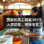 国家优质工程奖307个入选项目，哪些金奖工程引领行业标杆？