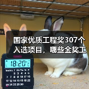 国家优质工程奖307个入选项目,哪些金奖工程引领行业标杆?(图3) 国家优质工程奖307个入选项目,哪些金奖工程引领行业标杆?(图3)