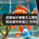 观音阁水库输水工程移民安置终验通过 为何能成为民生保障典范？