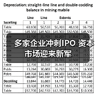 多家企业冲刺IPO 资本市场迎来新军(图4) 多家企业冲刺IPO 资本市场迎来新军(图4)