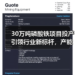 30万吨磷酸铁项目投产引领行业新标杆,产能扩张加速(图4) 30万吨磷酸铁项目投产引领行业新标杆,产能扩张加速(图4)