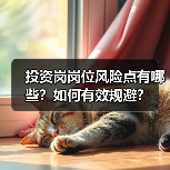 投资岗岗位风险点有哪些?如何有效规避?(图4) 投资岗岗位风险点有哪些?如何有效规避?(图4)