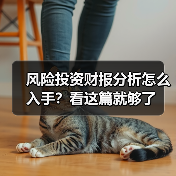 风险投资财报分析怎么入手?看这篇就够了(图3) 风险投资财报分析怎么入手?看这篇就够了(图3)