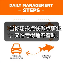 当你想投点钱做点事业，又怕亏得睡不着时，我们该怎么办？（图3）