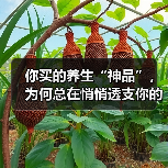 你买的养生“神品”,为何总在悄悄透支你的健康账户?(图4) 你买的养生“神品”,为何总在悄悄透支你的健康账户?(图4)
