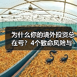 为什么你的境外投资总在亏?4个致命风险与止损指南(图1) 为什么你的境外投资总在亏?4个致命风险与止损指南(图1)
