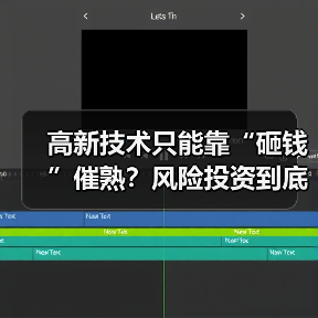 高新技术只能靠“砸钱”催熟?风险投资到底是不是科技创新的万能钥匙?(图2) 高新技术只能靠“砸钱”催熟?风险投资到底是不是科技创新的万能钥匙?(图2)