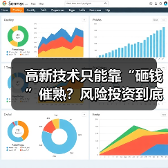 高新技术只能靠“砸钱”催熟?风险投资到底是不是科技创新的万能钥匙?(图3) 高新技术只能靠“砸钱”催熟?风险投资到底是不是科技创新的万能钥匙?(图3)