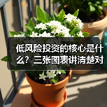 低风险投资的核心是什么?三张图表讲清楚对比逻辑(图3) 低风险投资的核心是什么?三张图表讲清楚对比逻辑(图3)