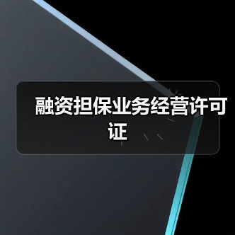 融资担保业务经营许可证(图4) 融资担保业务经营许可证(图4)