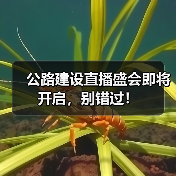 公路建设直播盛会即将开启，别错过！