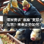 煤炭需求 煤炭需求