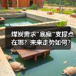 煤炭需求 煤炭需求