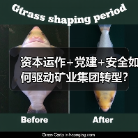 资本运作+党建+安全如何驱动矿业集团转型?(图2) 资本运作+党建+安全如何驱动矿业集团转型?(图2)