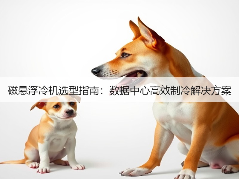 磁悬浮冷机选型指南：数据中心高效制冷解决方案