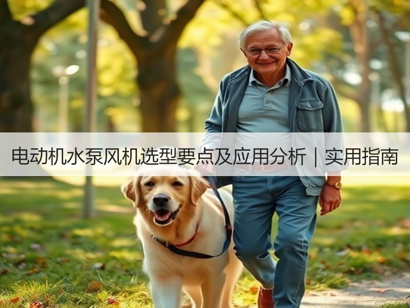 电动机水泵风机选型要点及应用分析｜实用指南